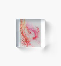 fledgling Acrylic Block