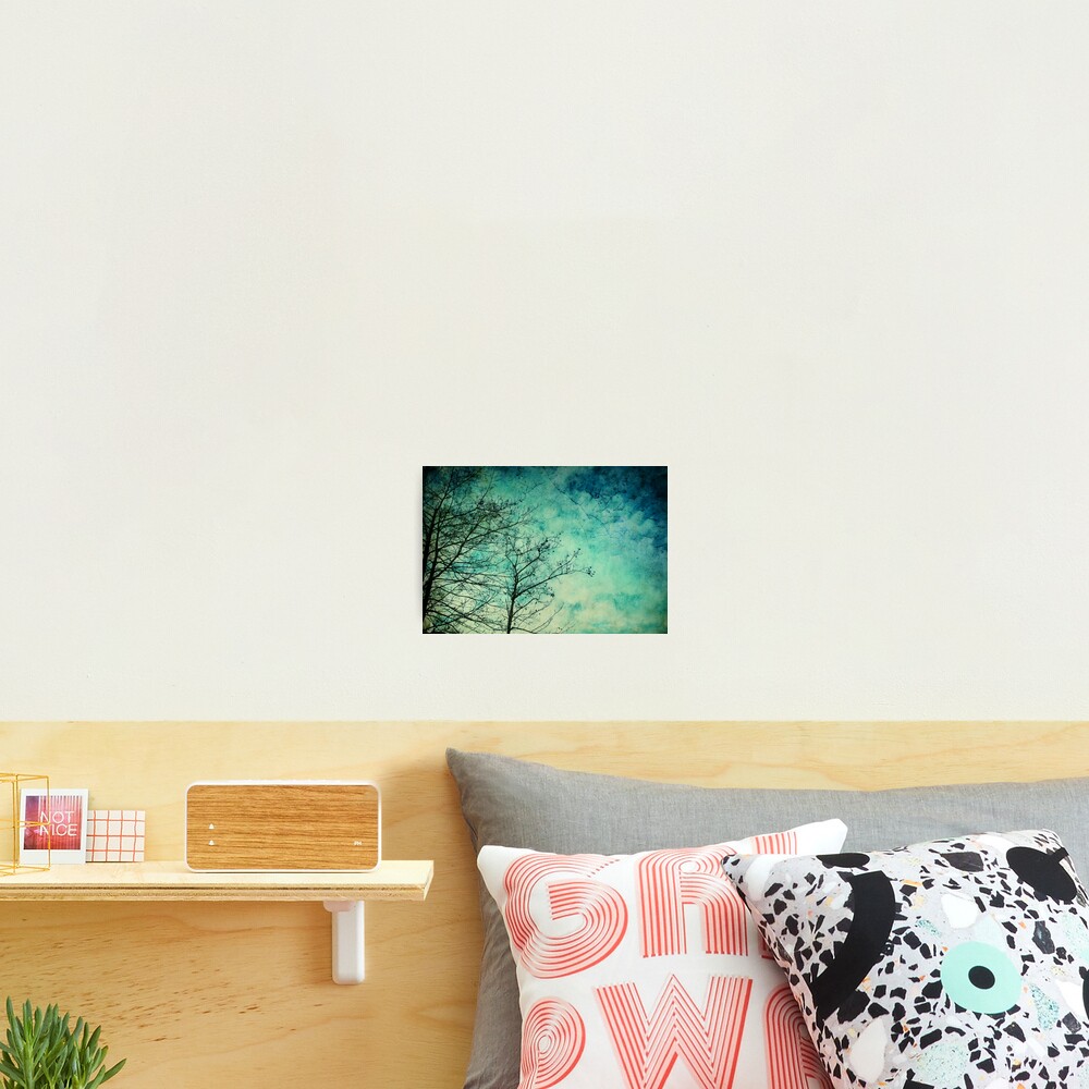 Morning Blue Photographic Print