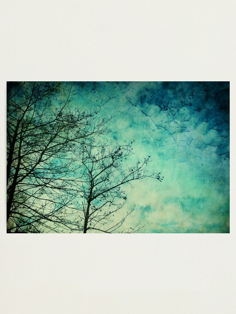 Alternate view of Morning Blue Photographic Print
