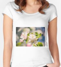 Apple blossoms over blurred nature background Women's Fitted Scoop T-Shirt