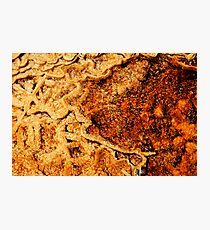 Water maps Photographic Print