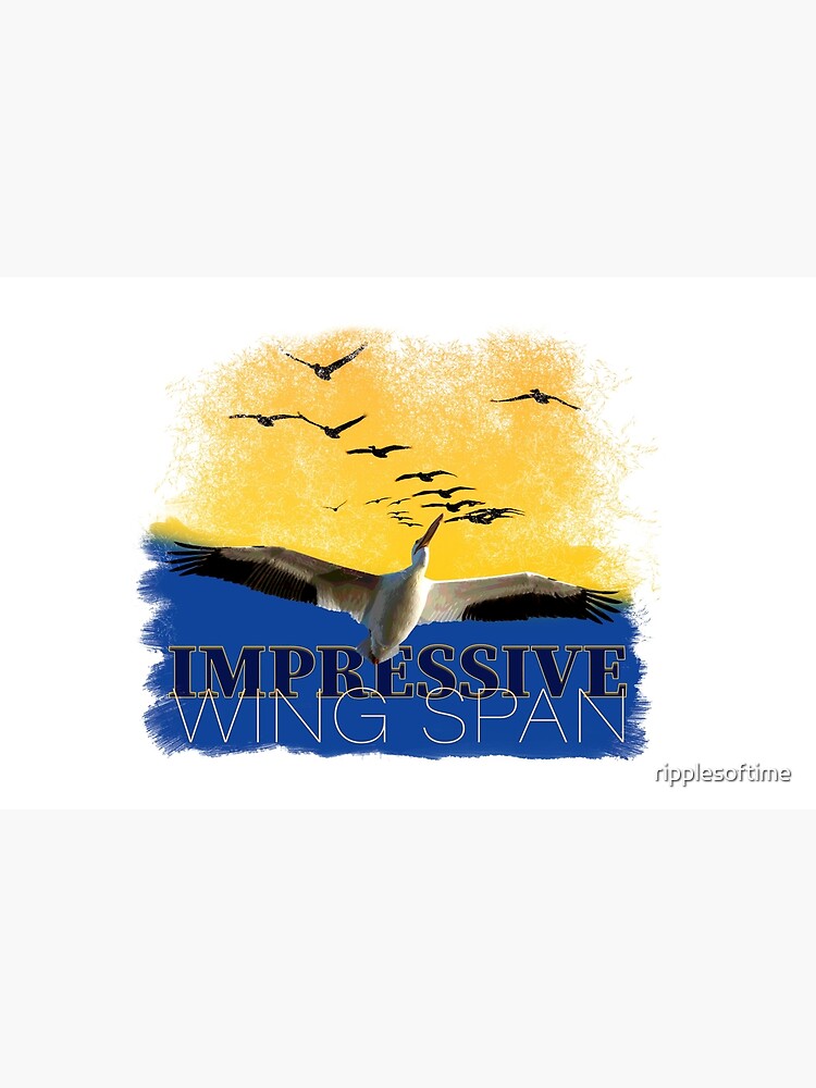 Impressive Wind Span by ripplesoftime