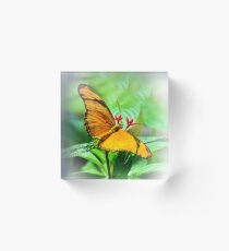 Orange Butterfly Wings Spread Acrylic Block