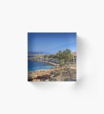 Ftenagia Acrylic Block