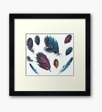 Colored feathers Framed Print