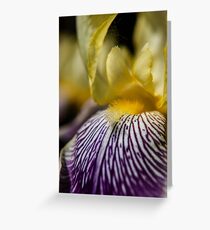 Goldener Zebra Iris Marco Grußkarte