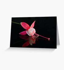 Fuchsia XVIII Greeting Card