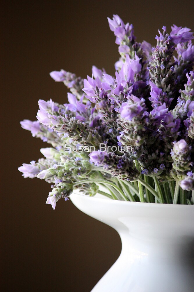 Lavender in Vase by Susan Brown