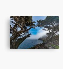 Lámina metálica Point Lobos