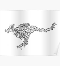 Marsupials - Black and White - Evolution Poster