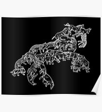 Perissodactyla - White and Black - Evolution Poster