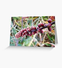 Untitled Greeting Card