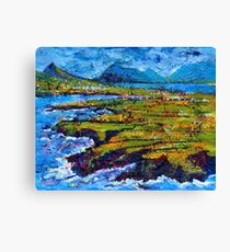 View from Clogher Head Canvas Print