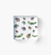 Cute Bugs Acrylic Block