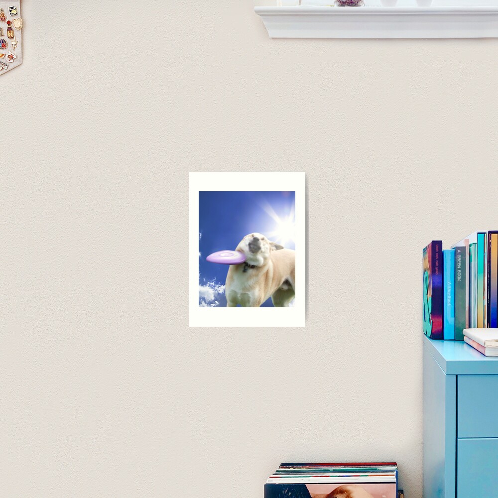 Frisbee Dog, Doggo #4 Art Print