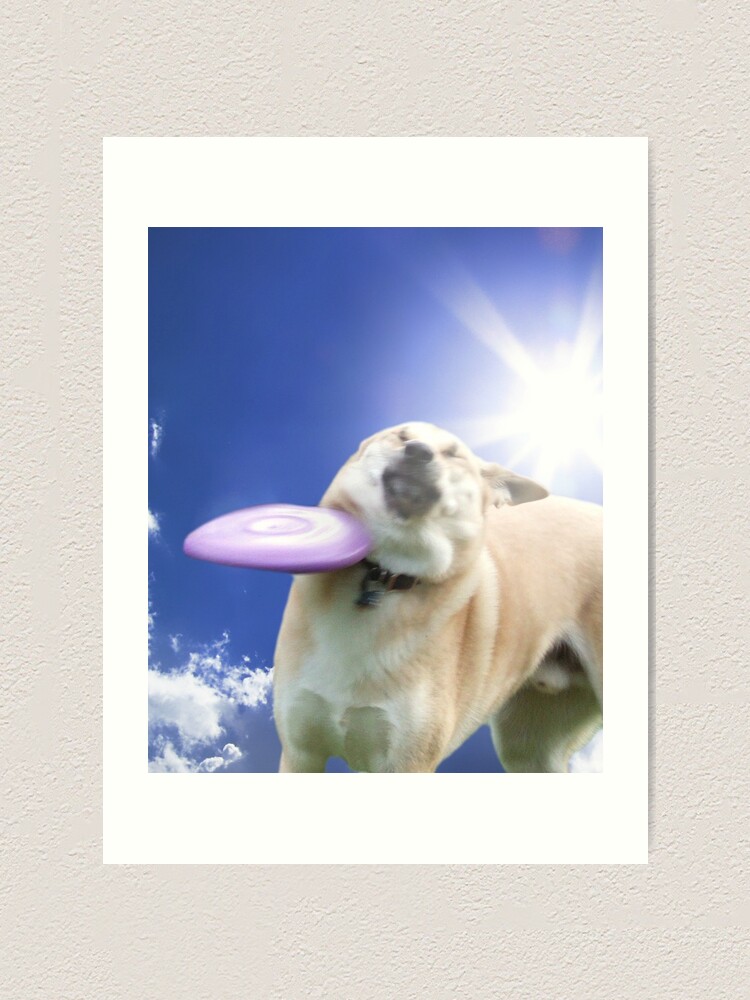 Alternate view of Frisbee Dog, Doggo #4 Art Print