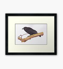 Hugin- raven Framed Print