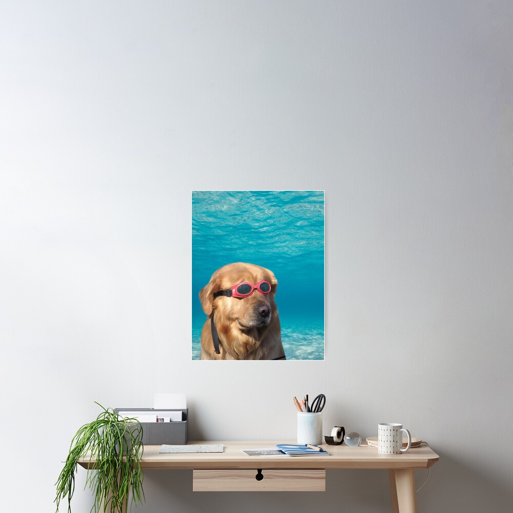 Swimmer Dog Poster