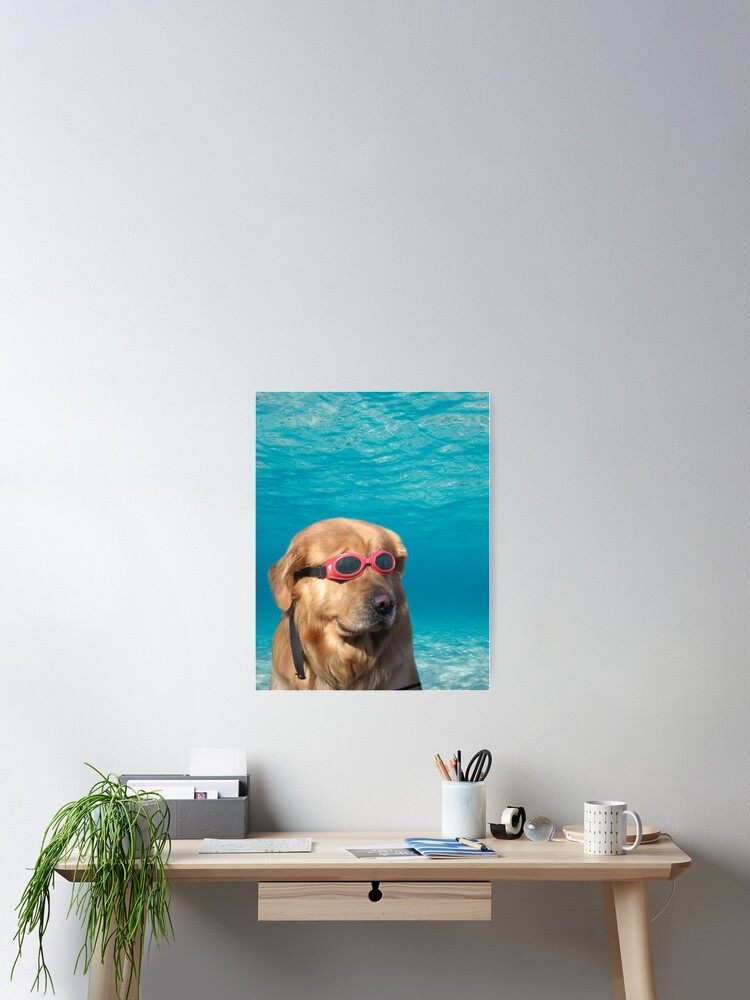 Alternate view of Swimmer Dog Poster