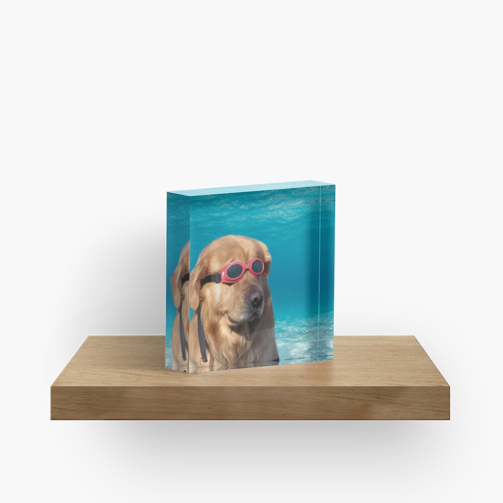 Swimmer Dog Acrylic Block