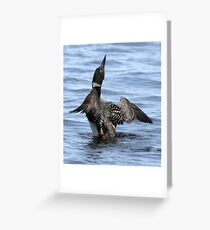 Loon Greeting Card