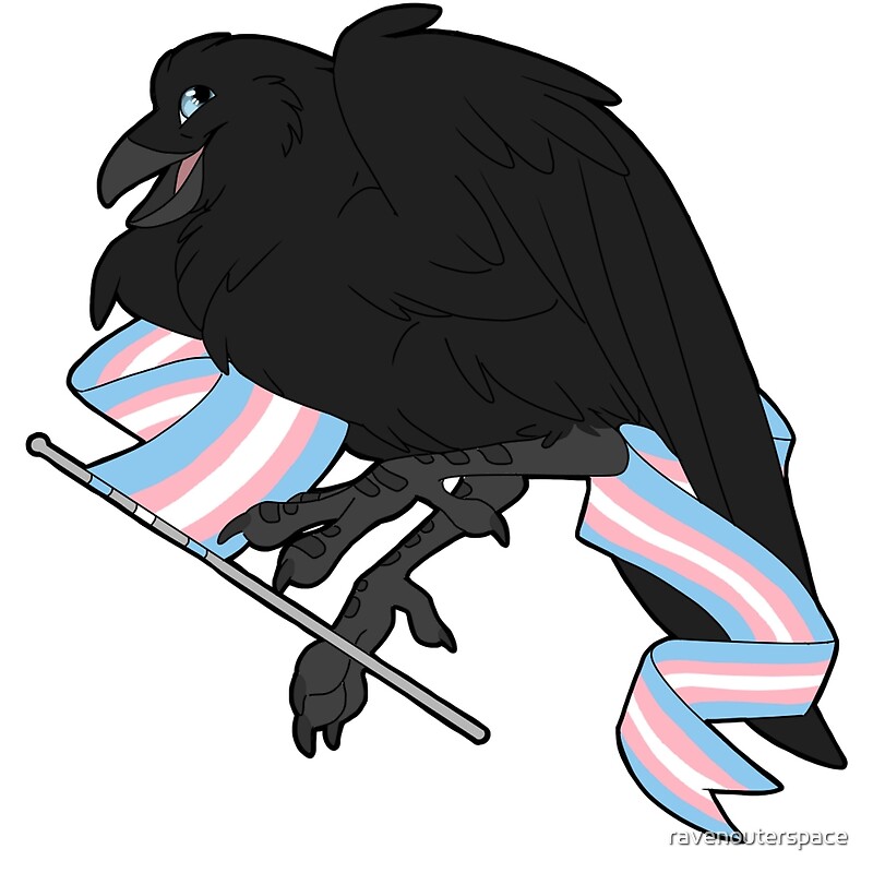 Pride Crows Trans By Ravenouterspace Redbubble