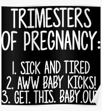 Trimesters of pregnancy. Poster