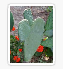 Cactus heart Sticker