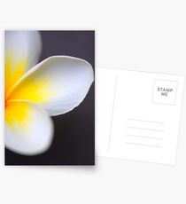 Frangipani Postcards