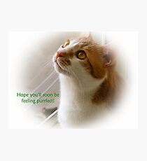 Get Well Card Photographic Print