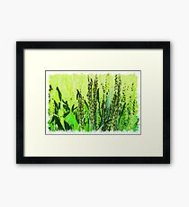 Nature drawn Art Framed Print