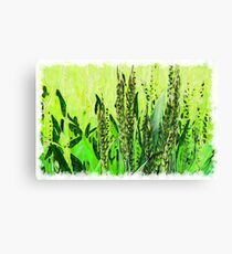 Nature drawn Art Canvas Print