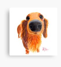 Dachshund PRiNT ' NoSeY DoG VaLeNTiNo ' BY SHiRLeY MacARTHuR Metal Print