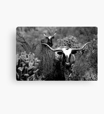 Eye See You Canvas Print