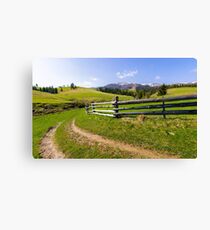 country road through grassy rural hillside Canvas Print