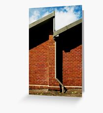 Quarantine Station, Manly Greeting Card