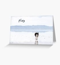 border collie play Greeting Card