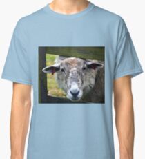 A Very Endearing Ewe.......... Classic T-Shirt