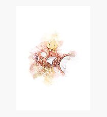 Magikarp Photographic Print