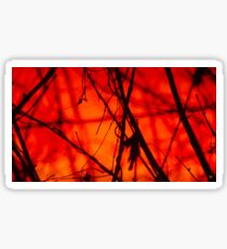 Sunset & Silhouettes Sticker