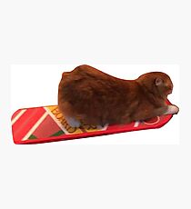 ollie the hover boarding cat Photographic Print