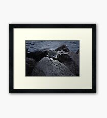 Alone Framed Print