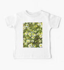 Photo of camomile flowers Baby Tee