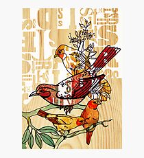 letterpress birds Photographic Print