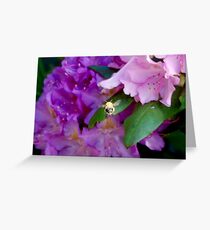 ...one more flower, just one more flower.... Greeting Card
