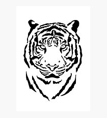 Tiger Photographic Print