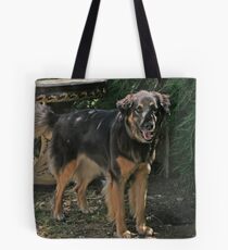Penny Tote Bag