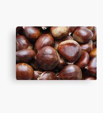 Sweet chestnuts Canvas Print
