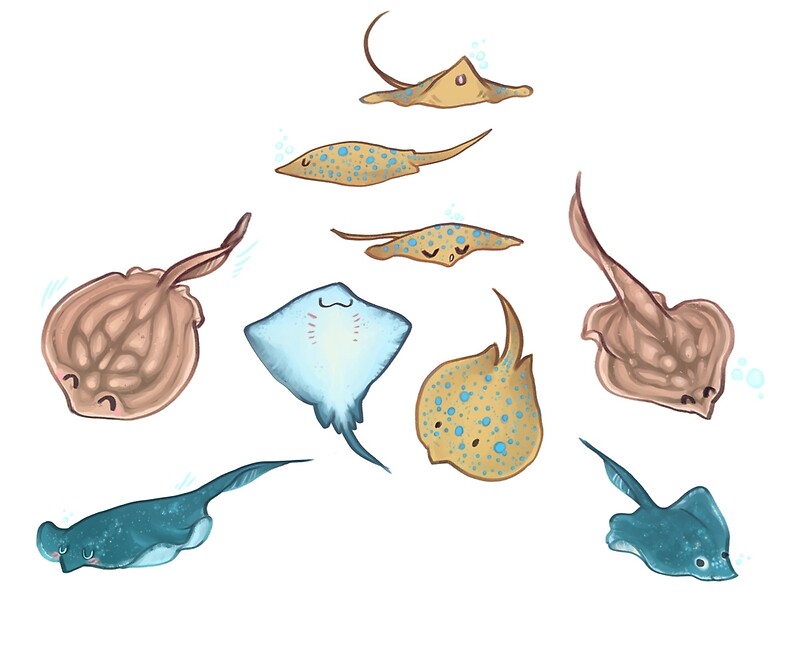 "sea pancakes" by Alice RL Redbubble