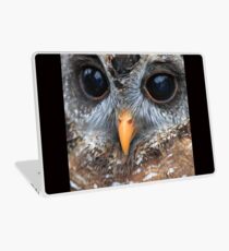 woodford Owl Laptop Skin